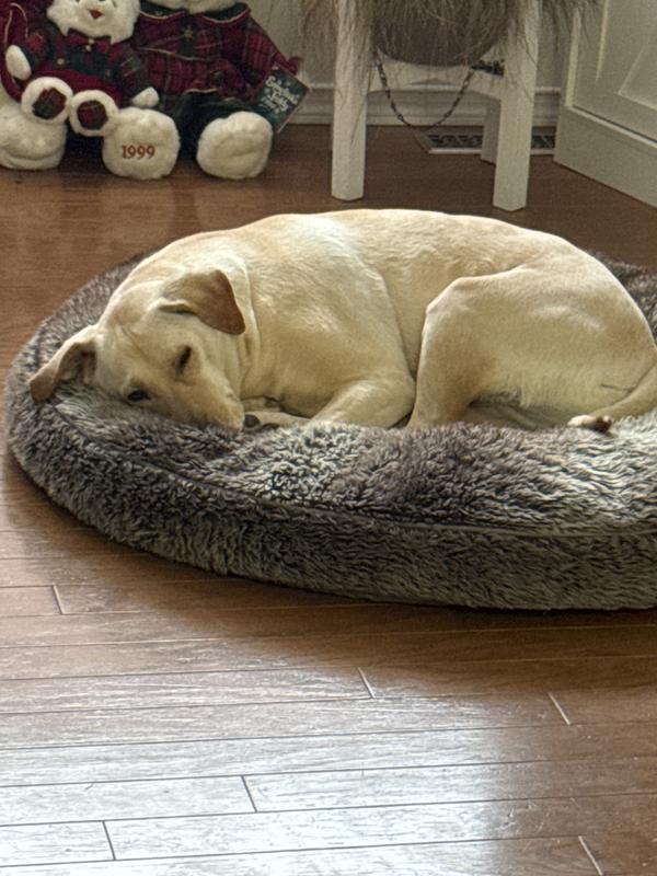 Resting after breakfast