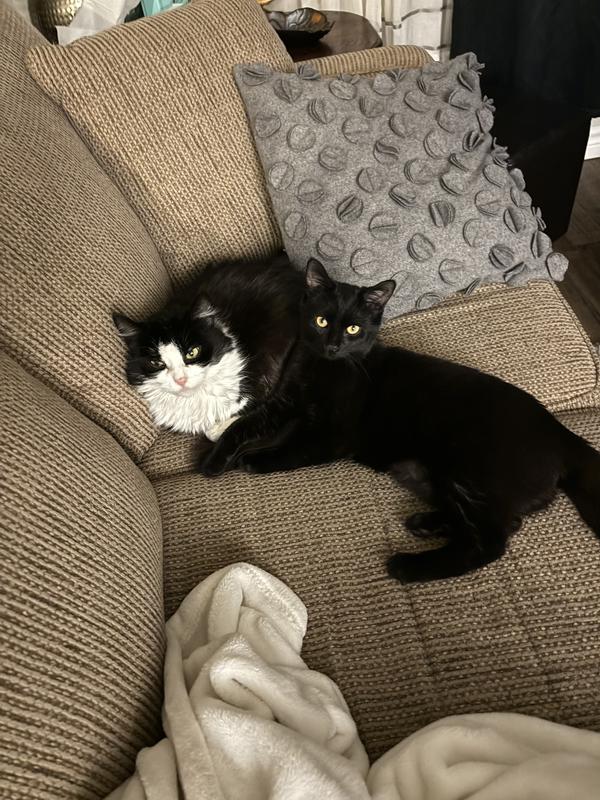 Bitsy and dink