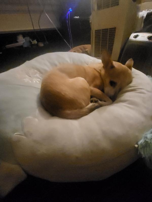 Resting with a full belly 😋