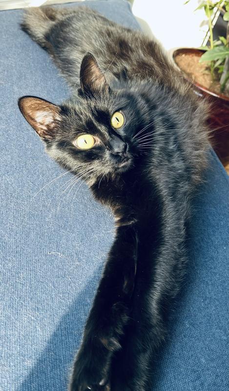 Basking in the sun after breakfast