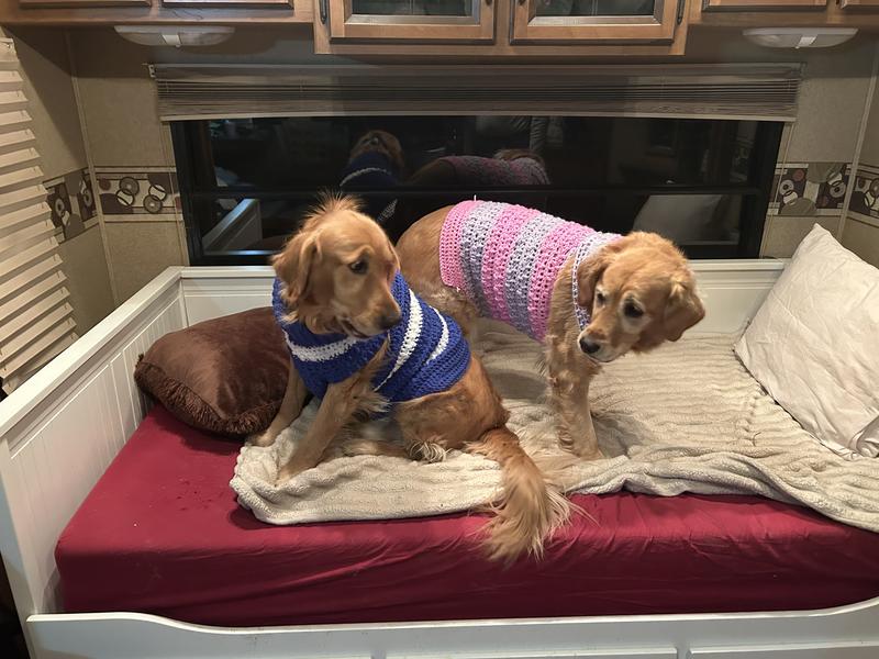 New sweaters