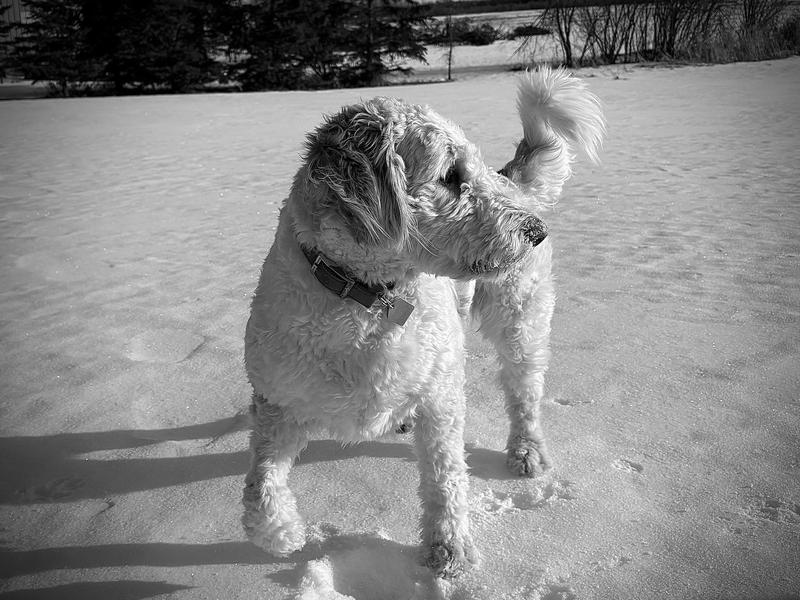 What’s over there?