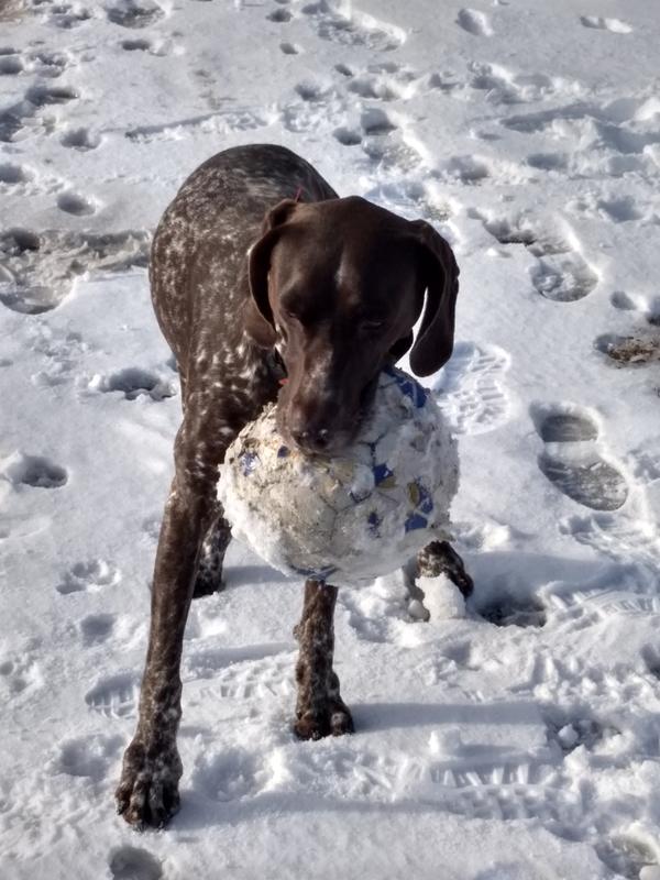 she loves to destroy soccer balls