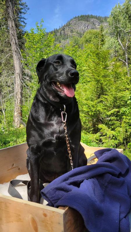 That was scrumptious