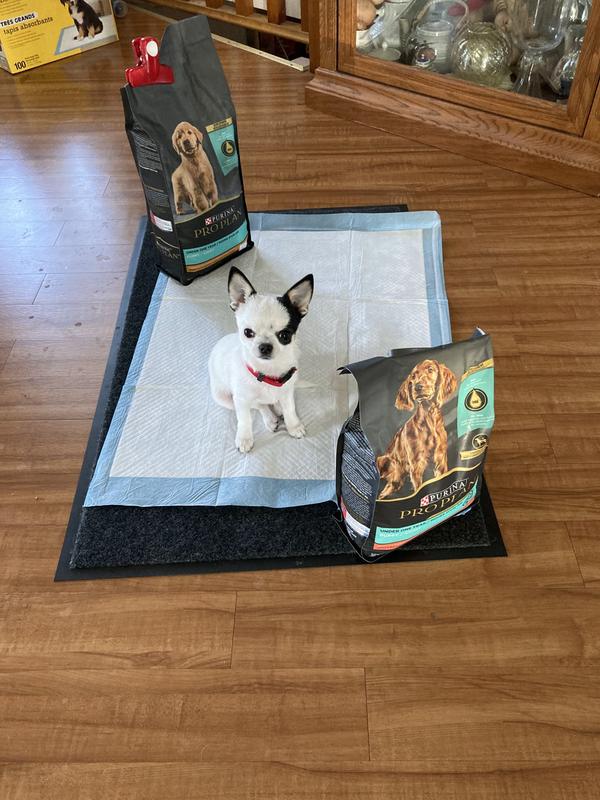 It’s time for Purina!