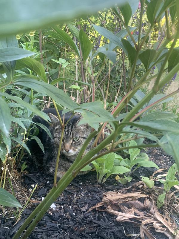 In the shade on a hot day