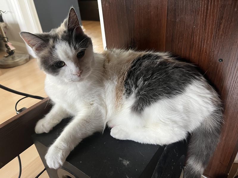 17yo Callie - fussiest eater alive!