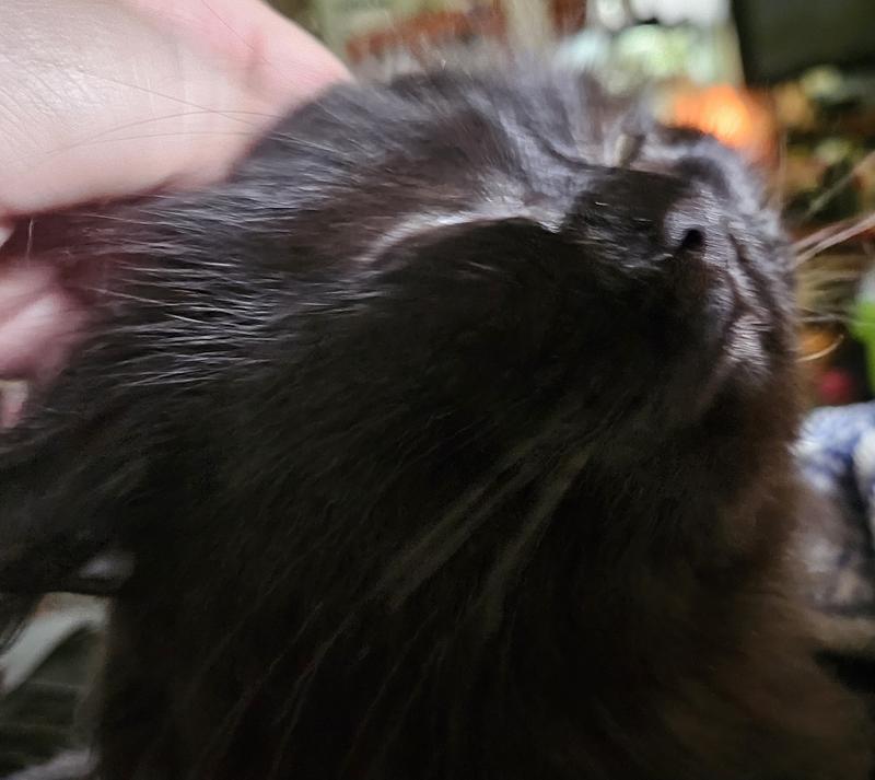 Yes, right there that's the spot. It feels sooo good!