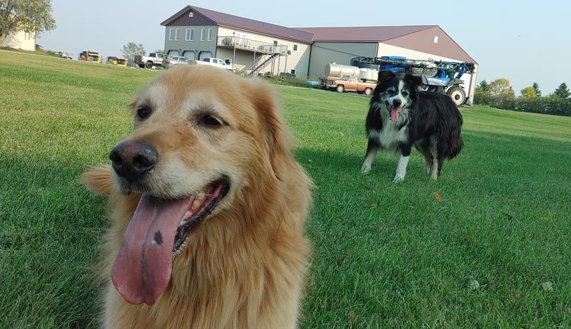 My two hairy side kicks!