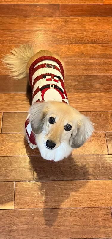 Annual new Holiday sweater