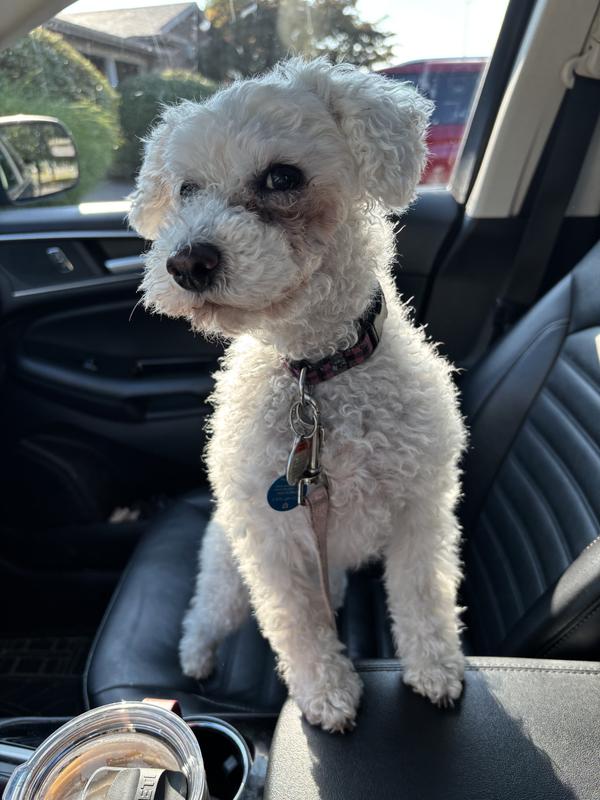 Photo - commentaire&nbsp;5.