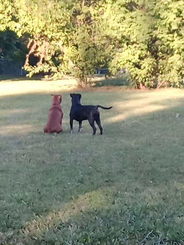 On squirrel duty with Freddy
