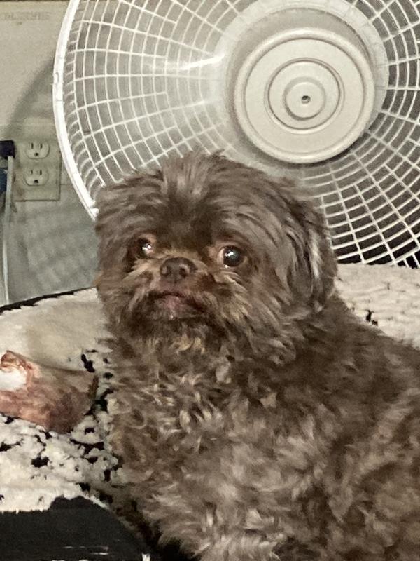 This is snuky …. I like to feed him and make him fat . I jump him when he goes in and out the door . I think I’m a tiger 🐅. We all love your wet foods . Yummy