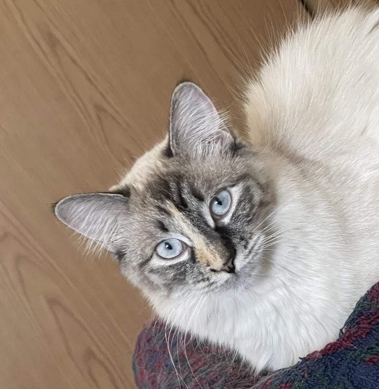 What are you looking at?