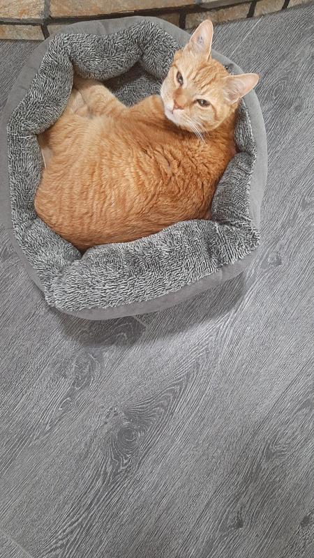 Gin loves lying in front of the stove.