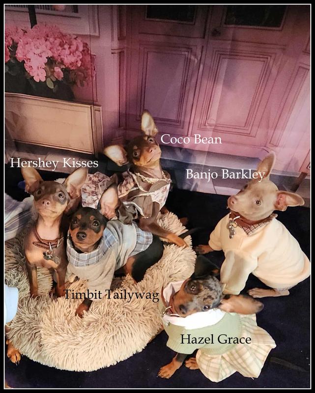 One Min Pin is never enough!!