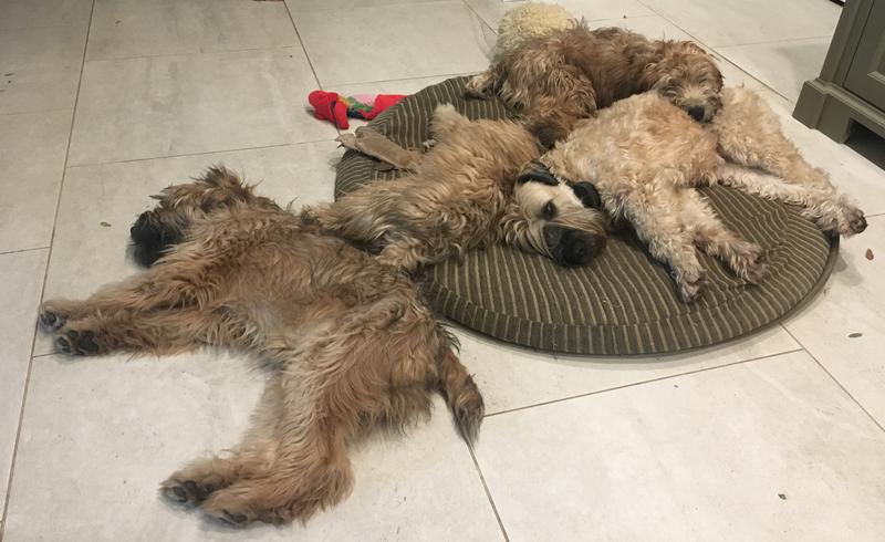 Cuddling with their Grandmother.