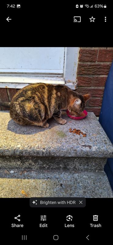 Photo - commentaire 3.