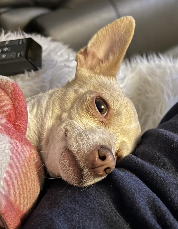 My favourite place to be!