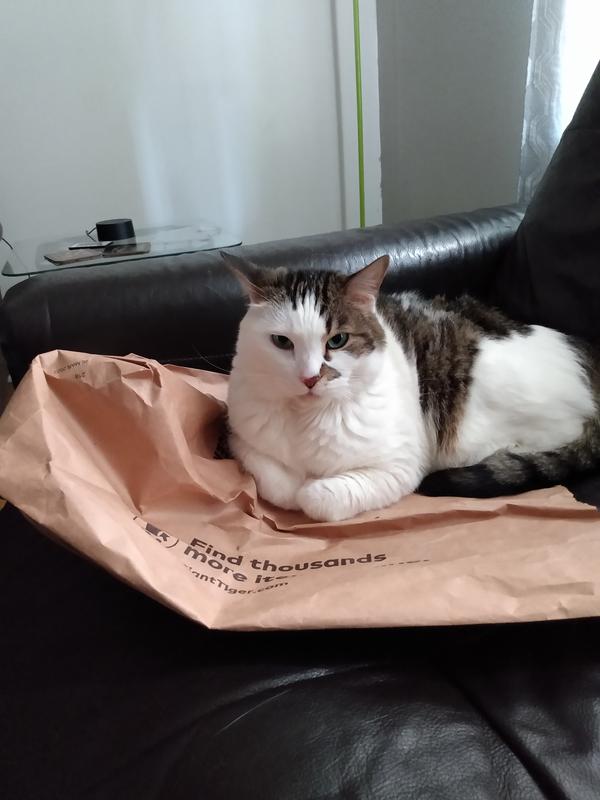 Photo - commentaire&nbsp;5.