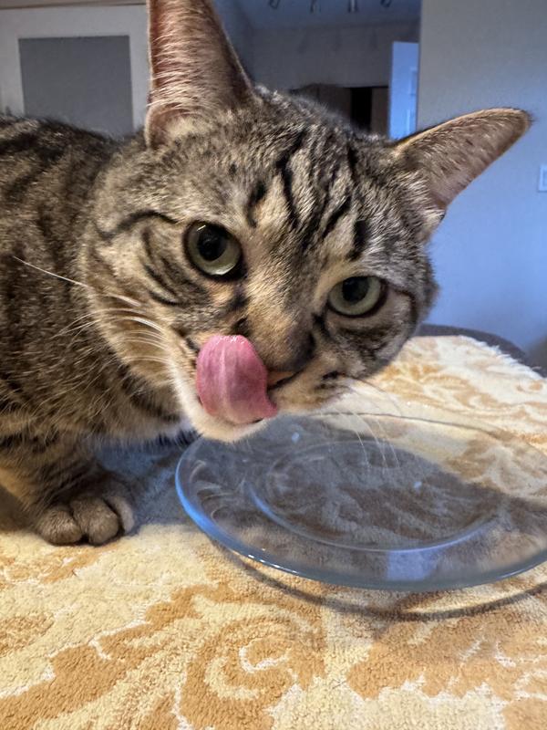 My Little’s LOVES his Lil’ Soups as you can see. :)