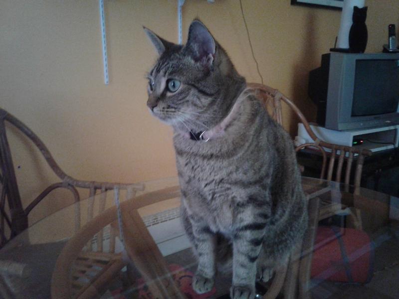 Photo - commentaire&nbsp;3.