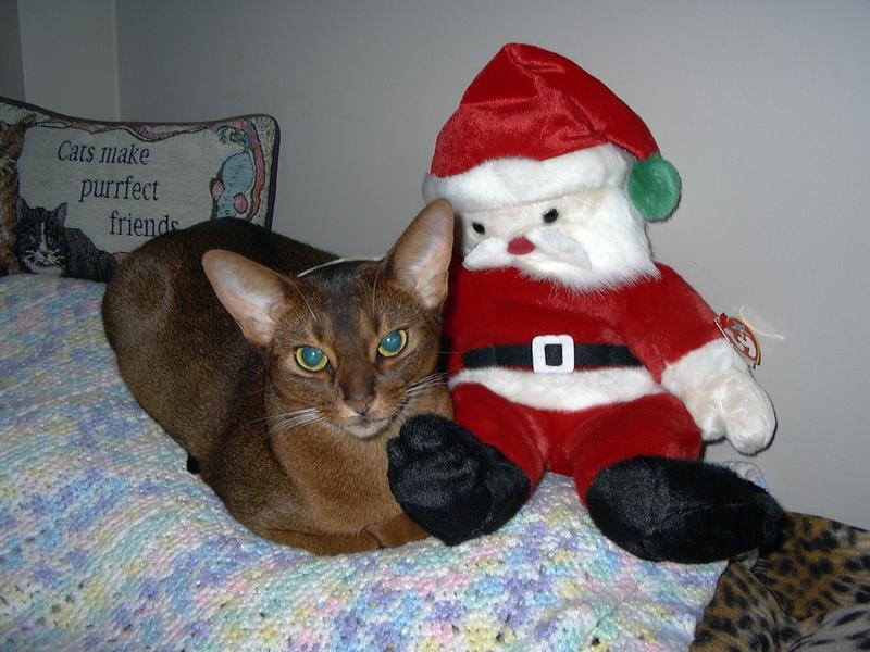 I just luv my own Santa