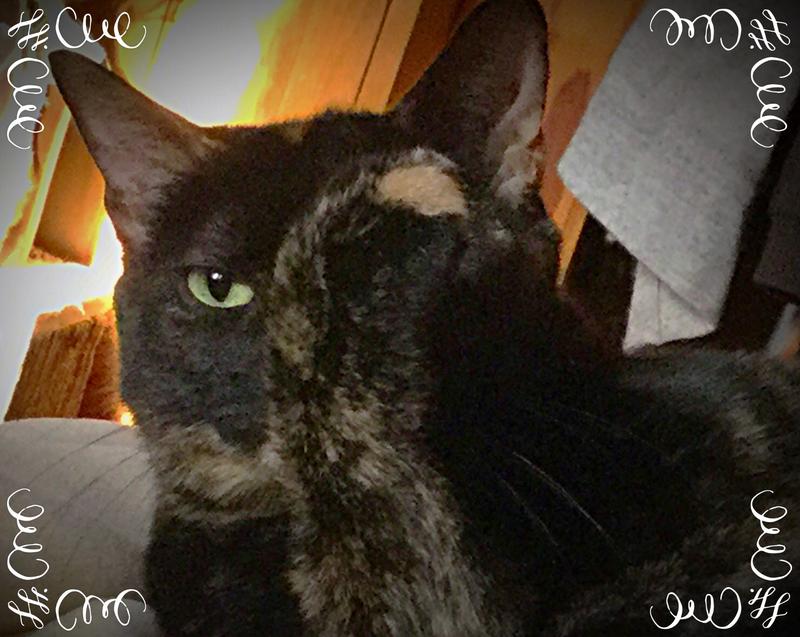 When dinner isn’t on time! She flips me the bird.