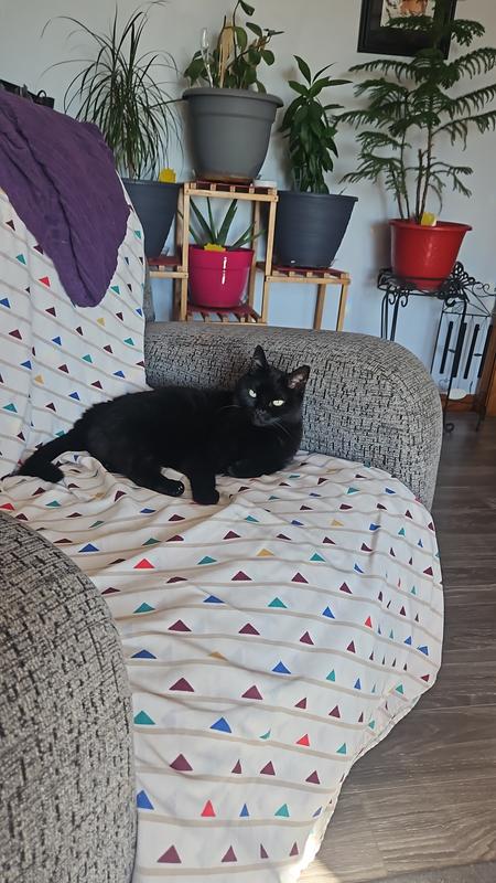 Chilling after supper