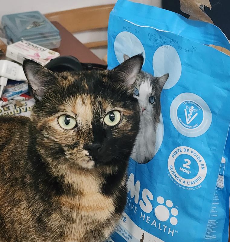 Photo - commentaire&nbsp;3.