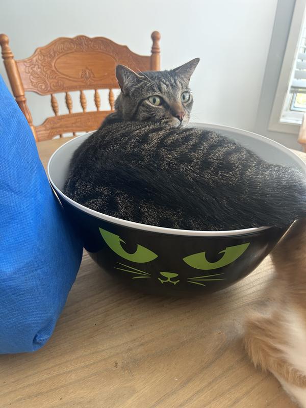 Our handsome boy now!