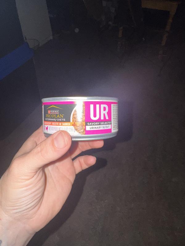 UR cat food