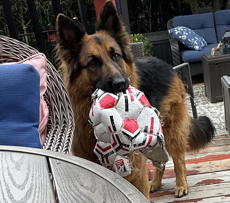 Another ball bites the dust