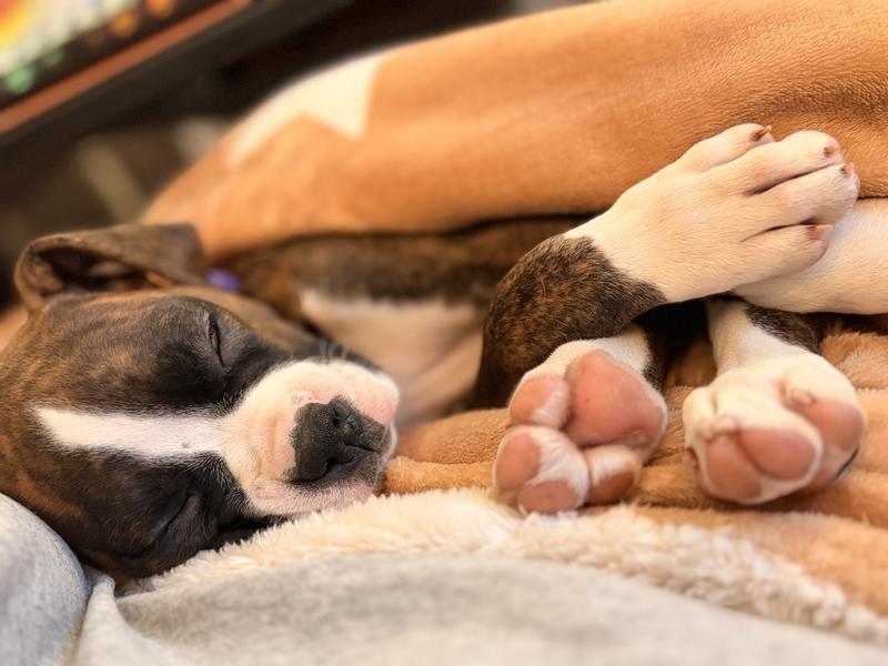 Afternoon snuggles with a side of toe beans!