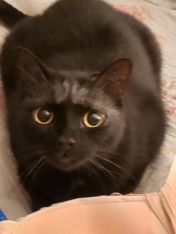 Maya à 8 ans
