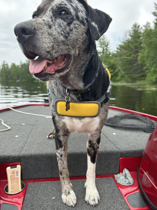 Cooper on a fishing vacation