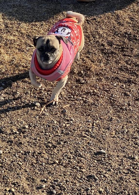 Photo - commentaire&nbsp;1.