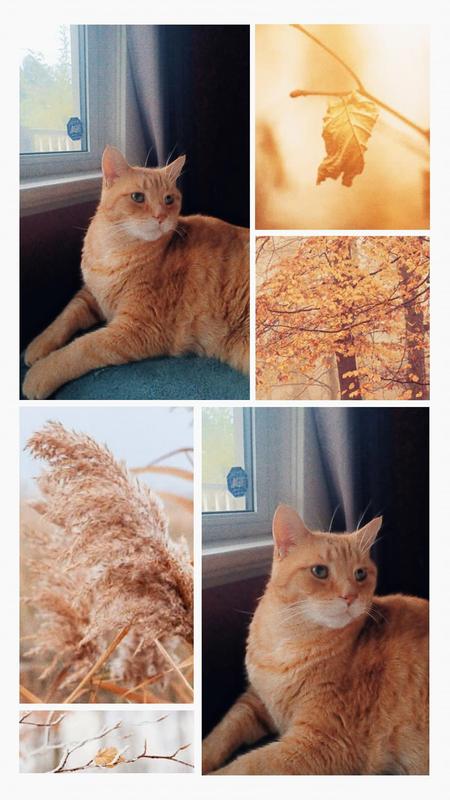 My boy loving the sunshine ☀️