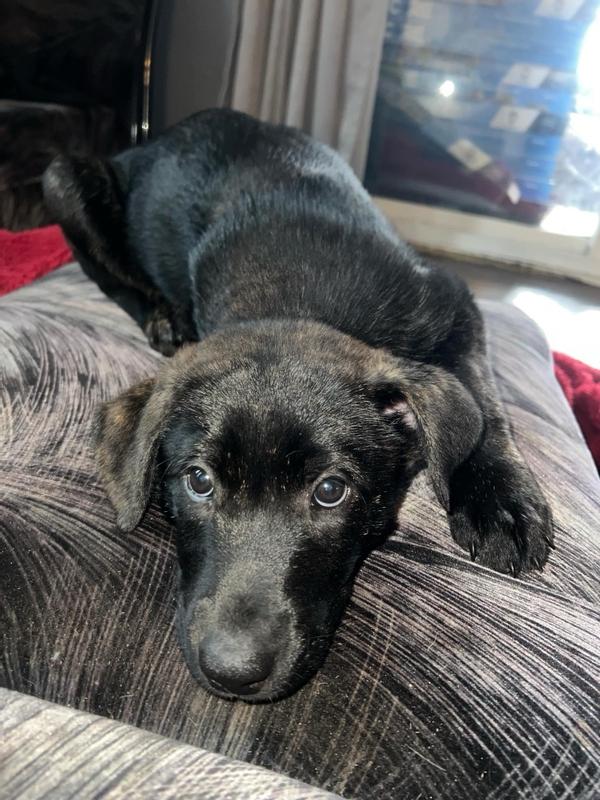 When I first got him november of last yr