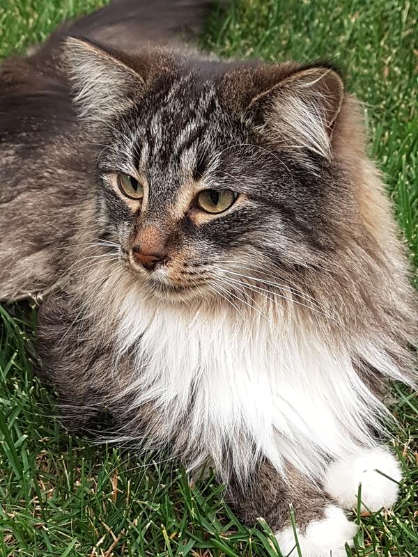 Enjoying the sunshine