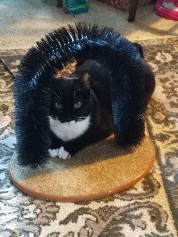 The picture of good health!