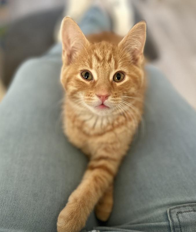 Photo - commentaire&nbsp;1.