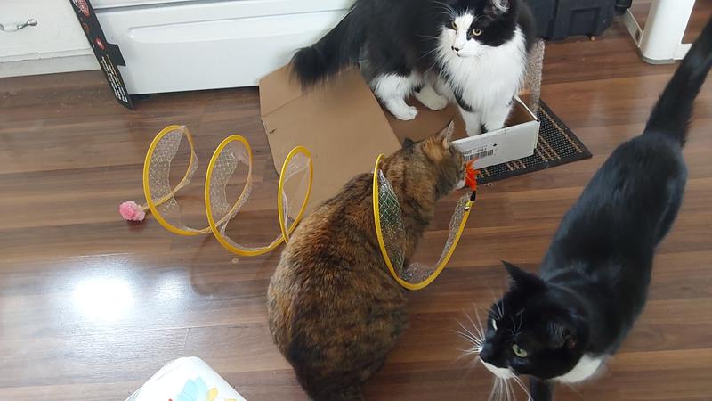 So what do we do with this?