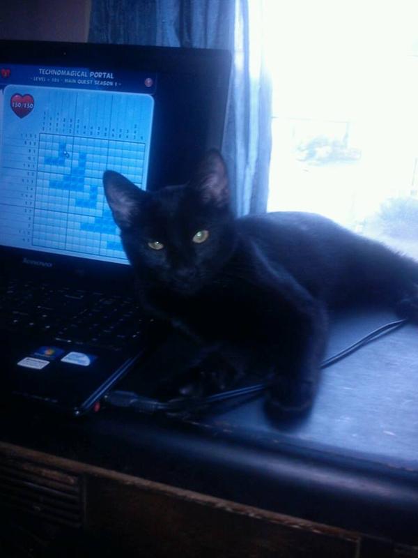 Photo - commentaire&nbsp;4.