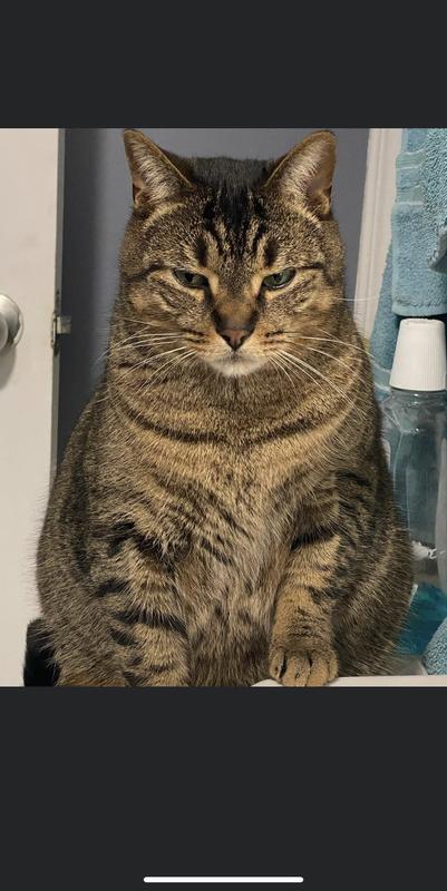 Photo - commentaire&nbsp;5.