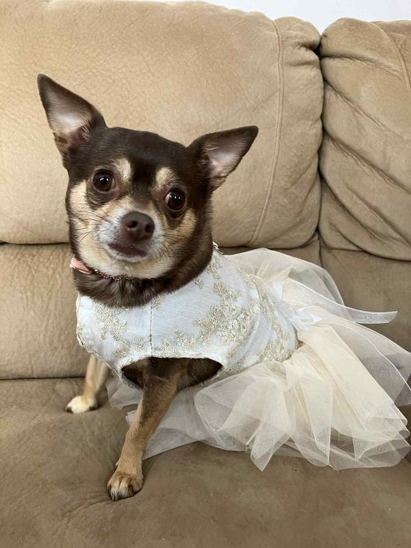 Photo - commentaire 1.