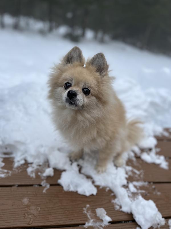 14yo Baby in the snow