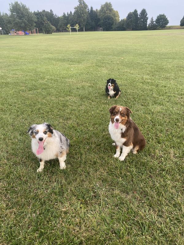 Photo - commentaire&nbsp;5.