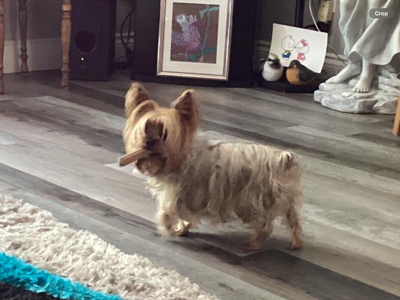 Where can I hide this one