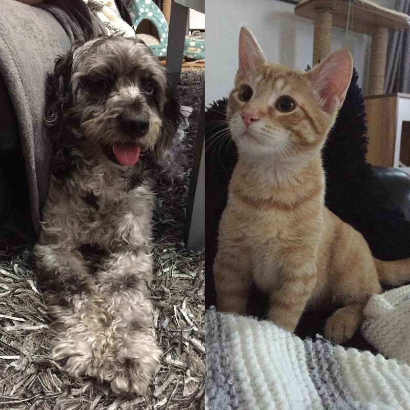 Enzo et Milo